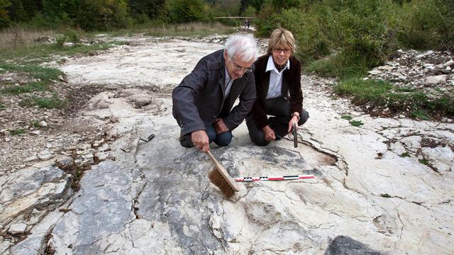 Les empreintes ont été conservées dans une couche calcaire vieille de 150 millions d'années.