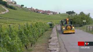 Le Conseil d'Etat vaudois met en consultation la loi sur le plan de protection de Lavaux