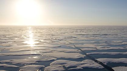 Réchauffement climatique