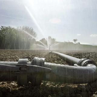 Une interdiction des pompages agricoles dans les cours d'eau est en vigueur à Fribourg, Vaud et Genève.
