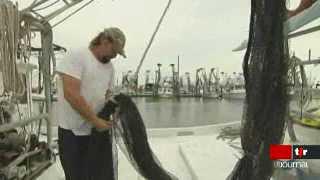 Marée noire en Louisiane: la compagnie BP a recruté les pêcheurs locaux afin de nettoyer les dégâts, or les conditions du contrat ont fait scandale