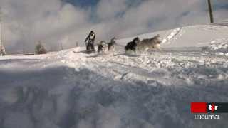 Saignelégier (JU) devient la mecque des chiens de traîneaux l'espace d'un week-end