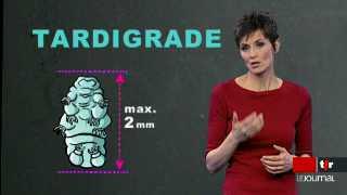 Séquence tsr découverte avec Tania Chytil: les tardigrades