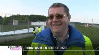 L'année 2010 est celle de la biodiversité, même pour les employés de l'aéroport de Genève