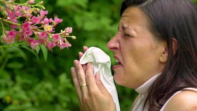 Aujourd'hui, 20% de la population suisse souffrent d'allergie aux pollens, contre 0,1% il y a 100 ans.