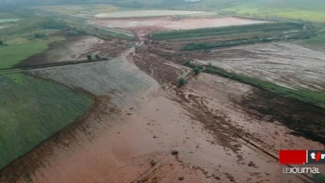La boue toxique qui s'est échappée d'une usine d'aluminium en Hongrie a atteint l'un des bras secondaires du Danube et menace tout l'écosystème du grand fleuve
