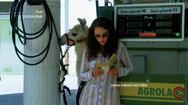 Une station-service, un lama, un bouquin ...du patchwork façon Godard.