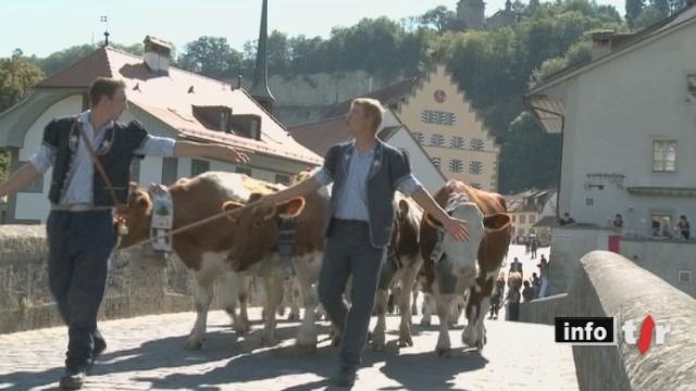 Une désalpe a été organisée en pleine ville de Fribourg