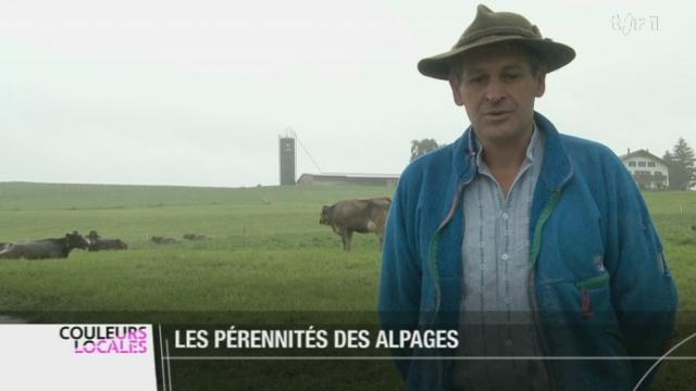 Les désalpes sont menacées, car près de la moitié des paysans suisses envisagent de ne plus mettre leurs vaches à l'alpage l'été