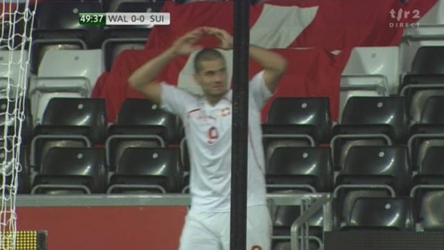 Football / Euro 2012 (éliminatoires): Pays de Galles - Suisse. Derdiyok croit amrquer, mais il est hors jeu (50e)