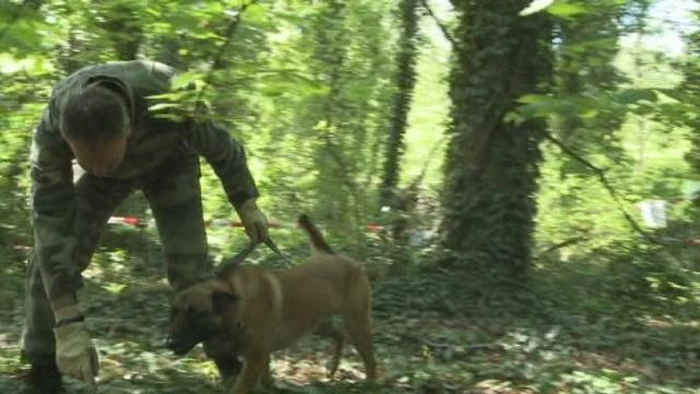 Jumelles disparues: vastes recherches près de Morges