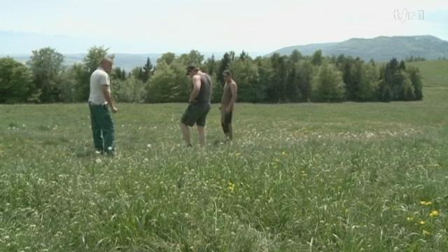 La montée à l'alpage s'annonce difficile à cause de la sécheresse. L'herbe n'a pas du tout poussé en altitude