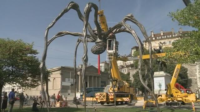 Séquences choisies - Une araignée géante à Genève