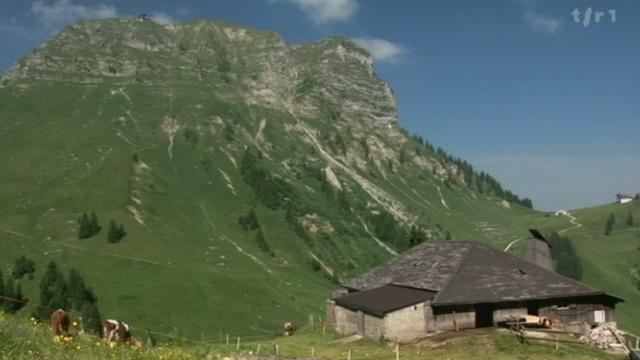 Que sera demain? Suisse : Le défi du gruyère