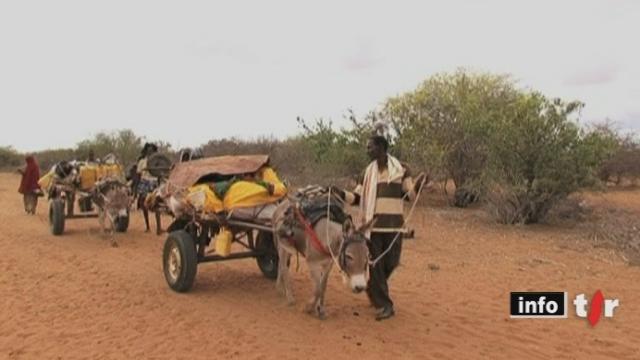 Somalie: des milliers de personnes affluent vers le Kenya, fuyant la famine et la guerre civile