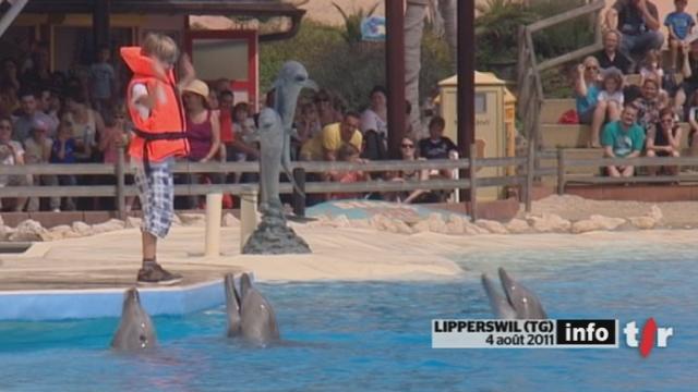 TG : mardi passé, un dauphin est mort sans raison apparente dans l'unique delfinarium de Suisse, près du lac de Constance