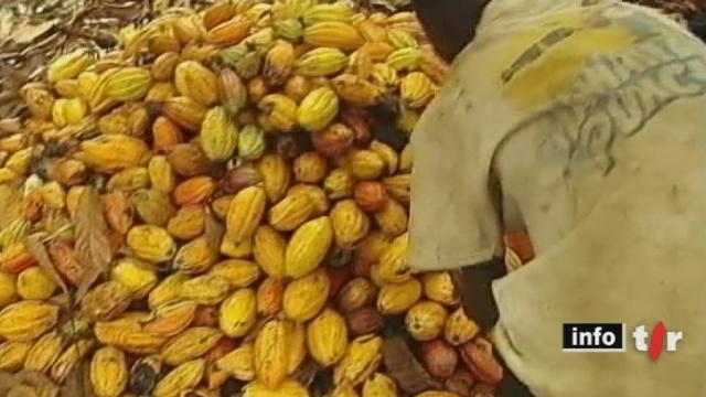 Côte d'Ivoire: la crise politique provoque une interruption des exportations de cacao