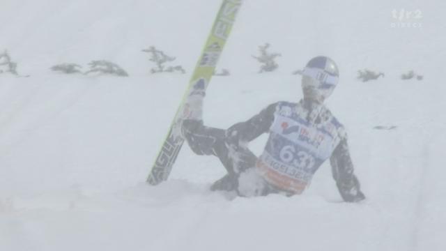 Saut à ski / Engelberg (SUI): La victoire pour Anders Bardal (NOR) en raison de la chute de Schlierenzauer (AUT) dans son dernier saut