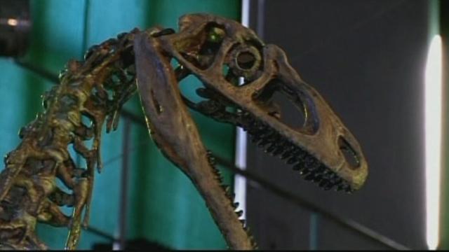 Séquences choisies - Une nouvelle espèce de dinosaure