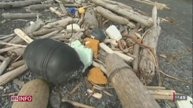 Les débris du Tsunami qui a frappé le Japon l'année dernière s'échouent en ce moment sur les côtes de l'Alaska.