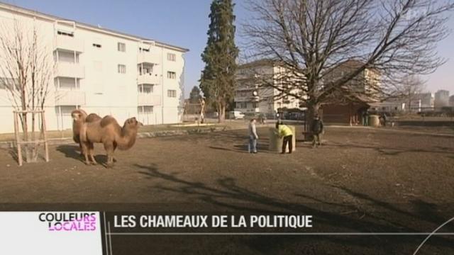 Chaque année, les organisateurs des Brandons de Payerne cherchent une action originale pour marquer le début des festivités