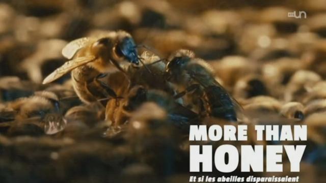 Le film "More Than Honey" rencontre un énorme succès