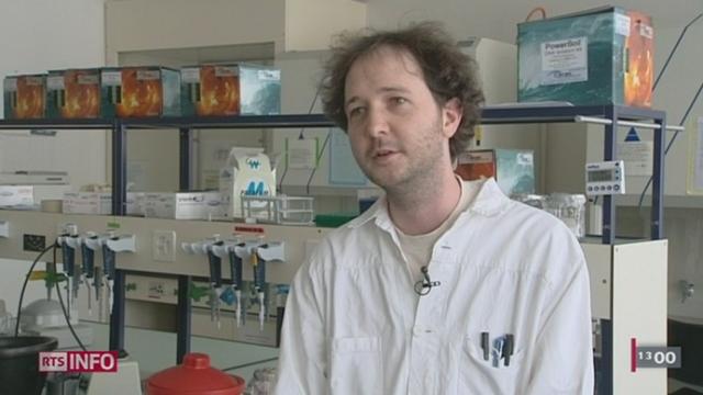 Une étude menée par l'Université de Neuchâtel confirme que le parasite qui décime les poissons du Doubs a été intriduit par l'homme