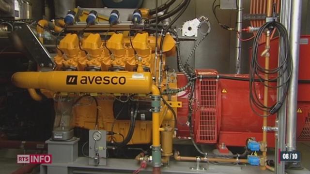 Un projet du canton de Fribourg permettrait de transformer les déchets agricoles en électricité et de diminuer les émissions de gaz à effet de serre