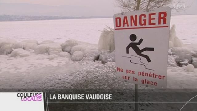 VD : entre Yverdon et Grandson, ce sont 300 mètres du Lac de Neuchâtel qui ont gelé