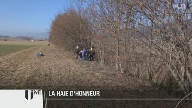 BE : pour sensibiliser les enfants au développement durable, le Parc Régional Chasseral donne des leçons pratiques par de jeunes apprentis forestiers