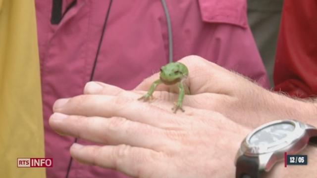 La deuxième édition de la Fête de la nature prend racine en Suisse romande durant tout le week-end