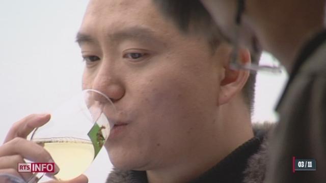 VD: des touristes chinois ont visité un vignoble de Lavaux