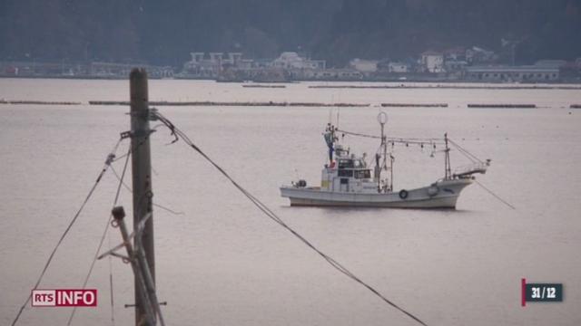 Les poissons pêchés au large de Fukushima présentent toujours des niveaux très élevés de radioactivité