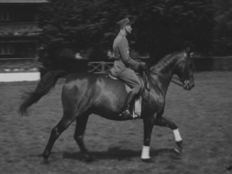 Le dressage du cheval, un art. [RTS]