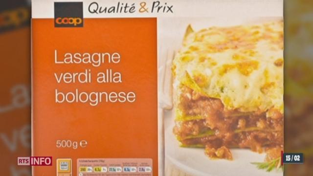 Une première batterie de tests est rendue publique dans l'affaire des lasagnes au boeuf contenant du cheval