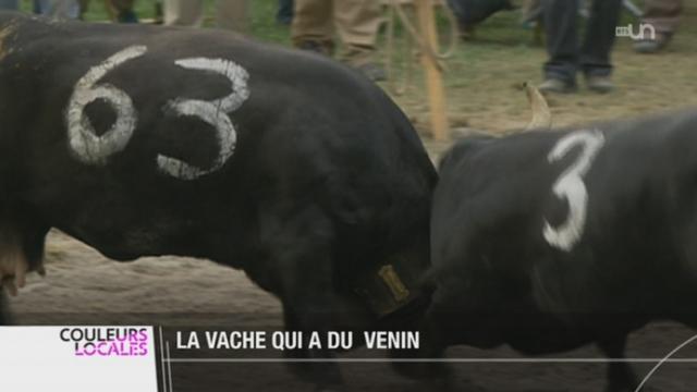 VS: Cobra a été couronnée reine nationale lors de la finale des combats de reines à Aproz