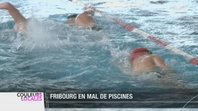 Fribourg manque d'une piscine digne d'une capitale cantonale