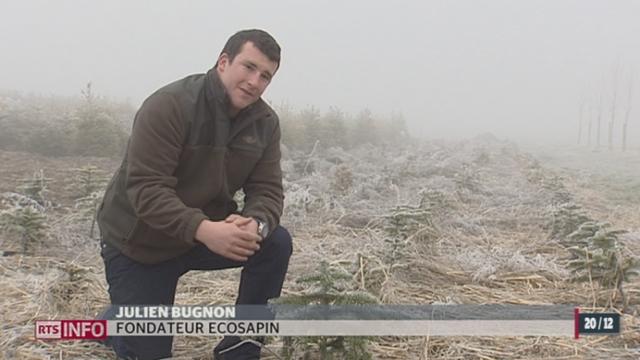 Une jeune société vaudoise vend des EcoSapin