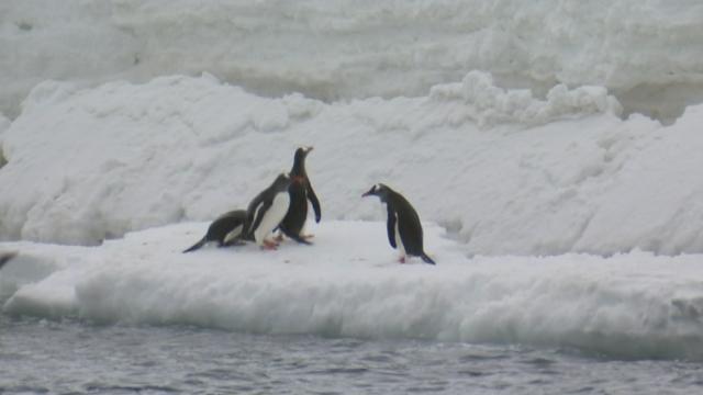 Antarctique, ma planète blanche