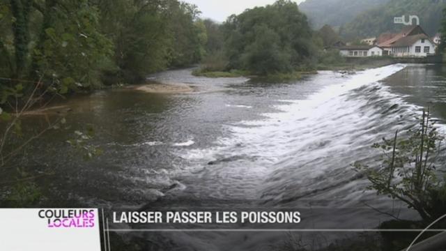 Les habitants de Saint-Ursanne (JU) ne veulent pas construire de passe à poisson sur le Doubs