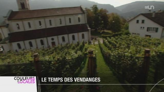 La saison des vendanges a commencé dans certains cantons suisses