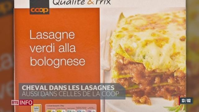 Un scandale éclate autour des lasagnes contenant du cheval et non du boeuf, comme indiqué