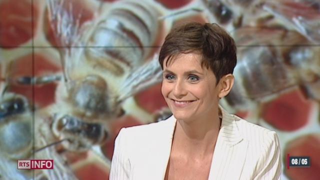 RTS découverte: le monde des abeilles