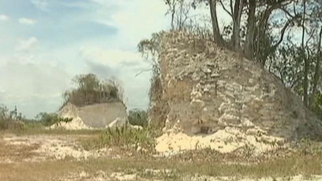 Destruction d'une pyramide maya au Bélize