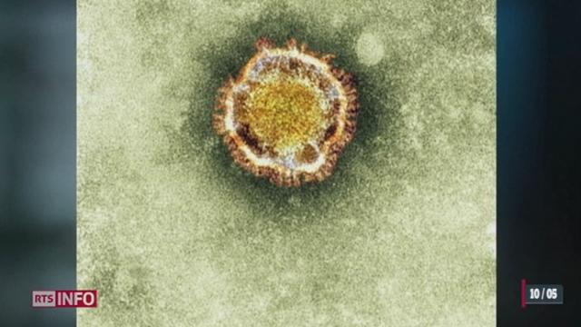 Une trentaine de personnes atteintes d'un virus proche du SRAS ont été déclarées dans le monde