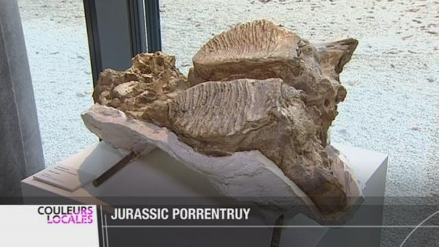 JU- Le canton souhaite mettre en valeur ses trésors archéologiques et paléontologiques