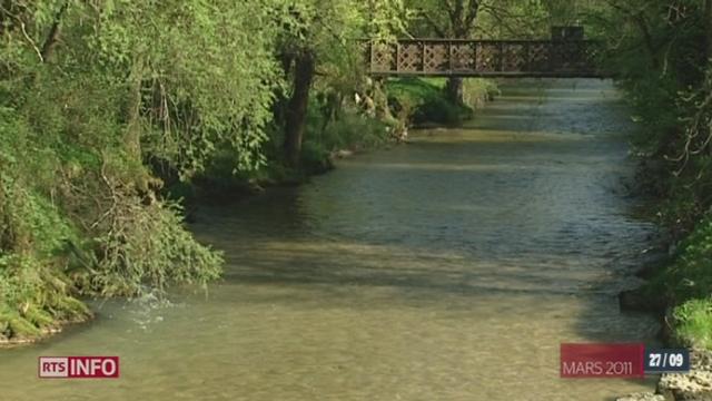 JU: la santé de la rivière de la Birse s'est nettement améliorée