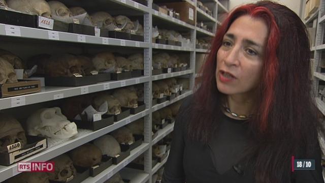 La découverte d'un crâne vieux d'1,8 million d'années bouleverse le débat sur les origines