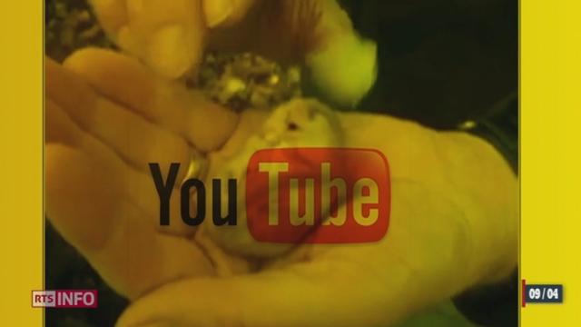 Nouvo: Youtube a lancé son portail suisse ce mardi