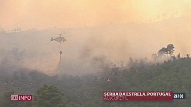 Le point sur les incendies qui frappent les Etats-Unis et le Portugal